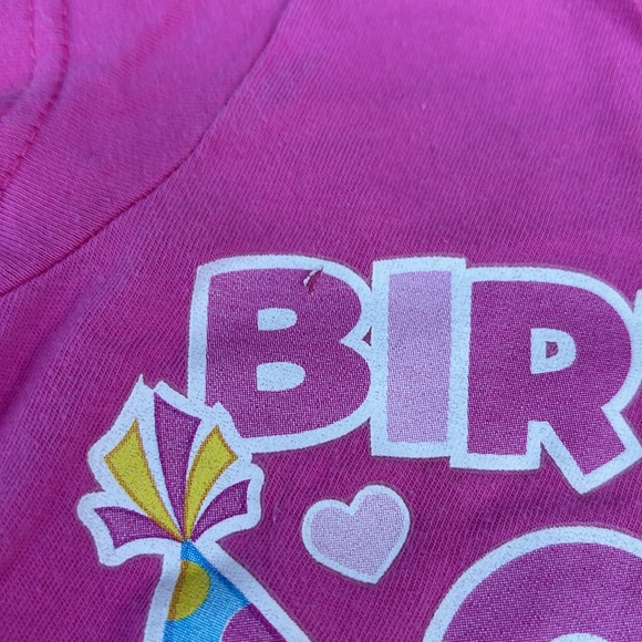 Nickelodeon Paw Patrol Pink SS 3rd Birthday Girl T-Shirt with Cartoon Design 2T - Picture 10 of 16